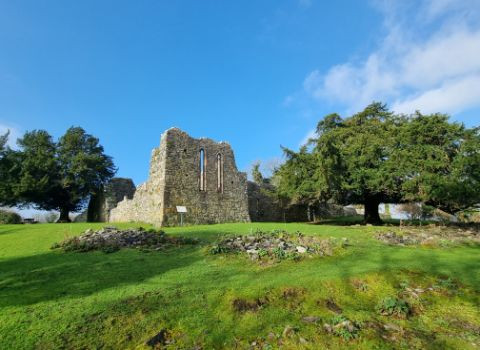  www.killarneytowers.com