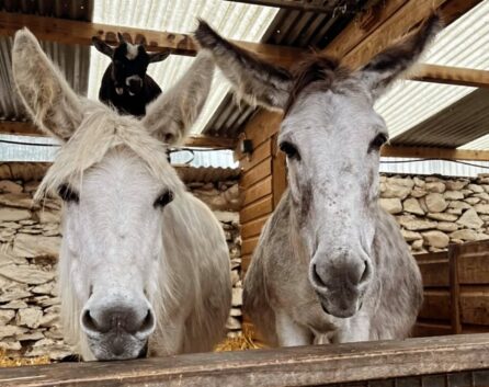 525097874_18493981540066356_8059356189104299482_n