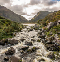 jaunting-car-tour-Killarney-National-Park