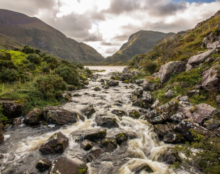 jaunting-car-tour-Killarney-National-Park