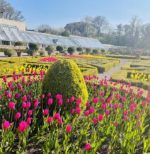 muckross-house-and-gardens-Killarney-Kerry