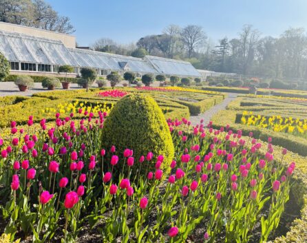 muckross-house-and-gardens-Killarney-Kerry