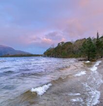 wild-sea-swimming-wander-wild-festival-Killarney
