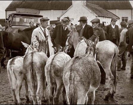 0c0aabd7fe2261096b181a66949a5a37