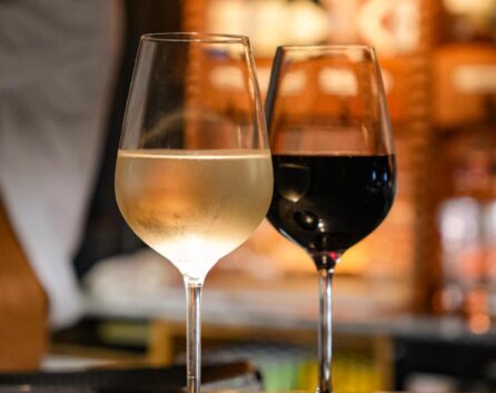 487294052_18041245604609805_8735891823158758297_n