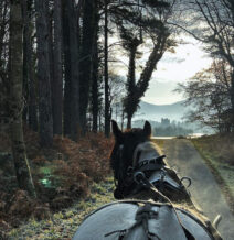 490533731_1241720577959843_8061523834611696037_n (1)