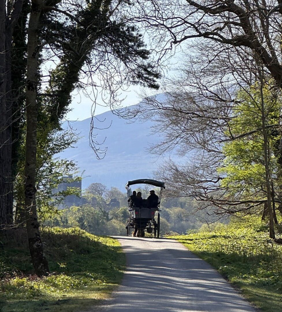 Scenic carriage ride through lush forest with mountain views at tranquil hotel retreat.