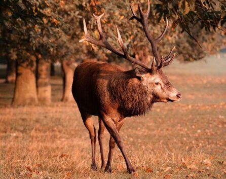 552718640_1419441020184275_2006701605012150921_n (2)