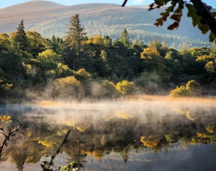 611159425_1487342310064334_5675706961745682095_n