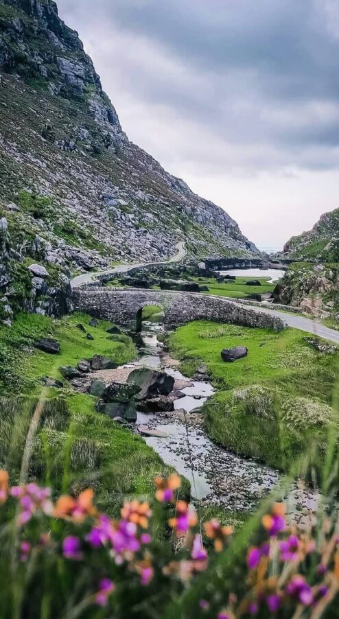 Scenic mountain view with winding stone bridge, lush greenery, and vibrant wildflowers, inviting exploration and relaxation.