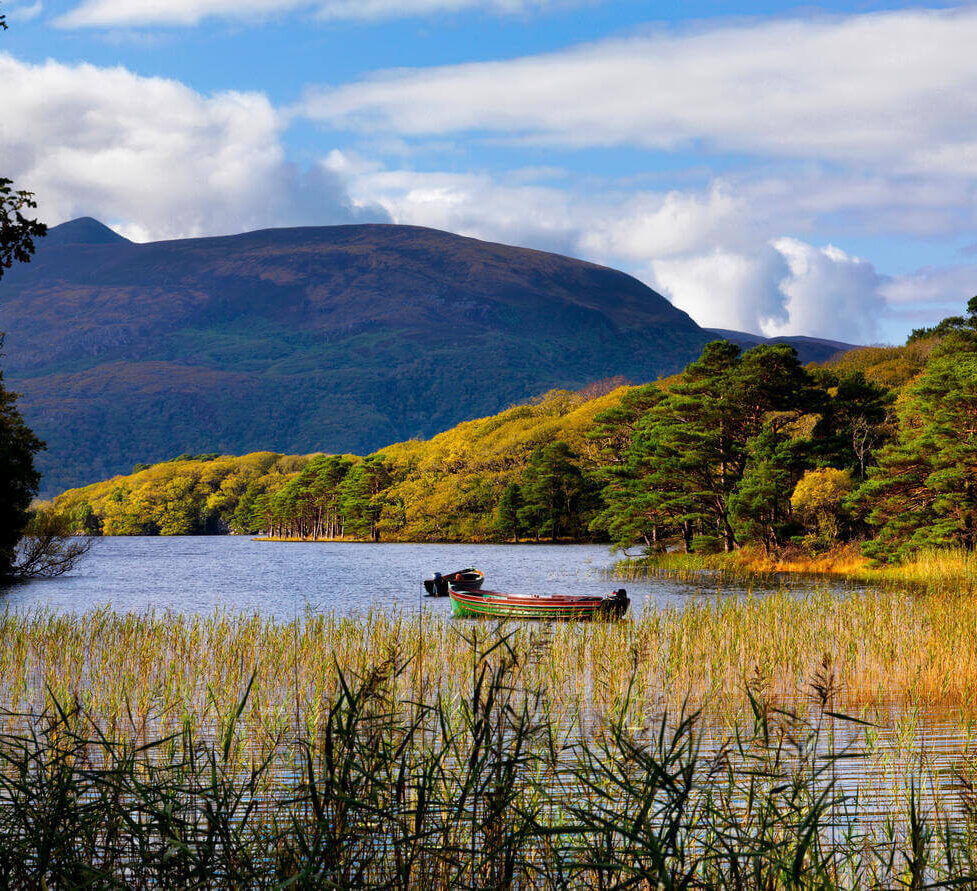 Serene lake view with lush hills and tranquil rowing boats, ideal for a peaceful getaway and nature exploration.