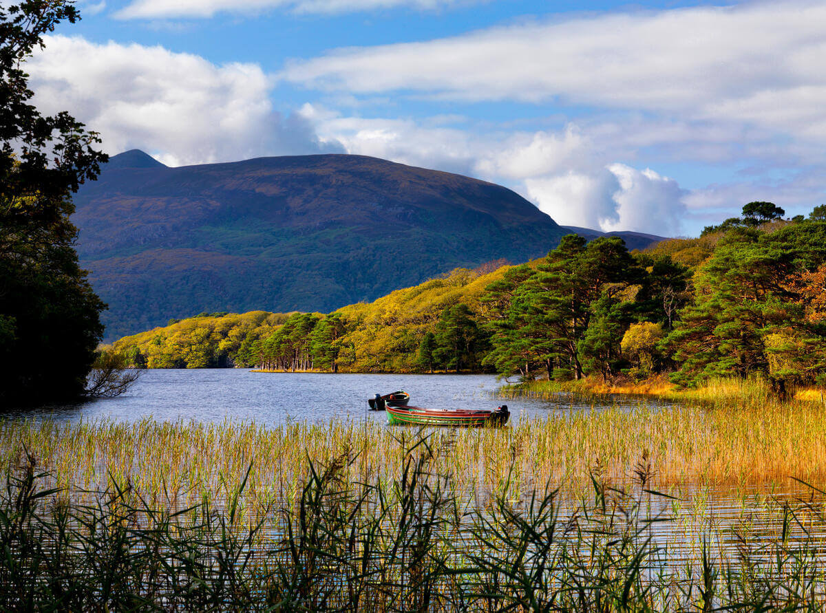 Serene lake view with lush hills and tranquil rowing boats, ideal for a peaceful getaway and nature exploration.