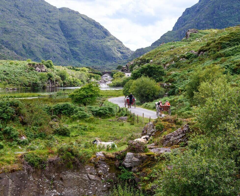 Scenic mountain view with lush greenery, tranquil river, and walking trail, perfect for nature-loving hotel guests.