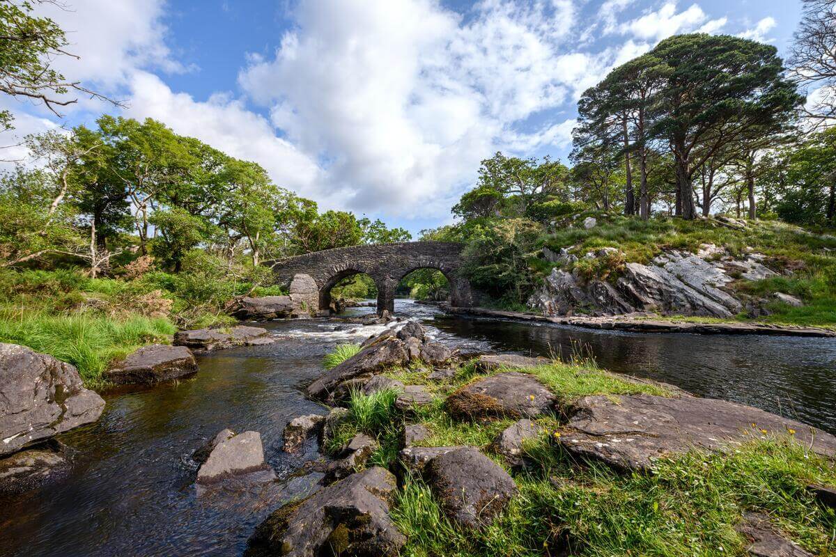 Picturesque stone bridge over tranquil river surrounded by lush greenery and blue sky at scenic hotel location.