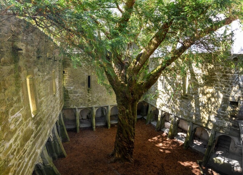 Historic courtyard with majestic tree, rustic stone walls, and serene atmosphere at charming hotel in scenic countryside.
