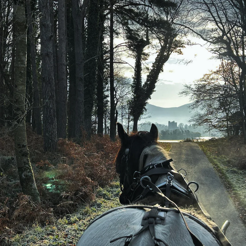 Horse-drawn carriage ride along a woodland lane toward a lakeside castle at dawn, peaceful country escape with scenic views