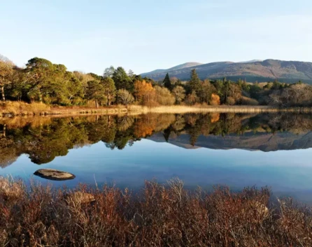 Tranquil lakeside view with autumn trees and distant hills reflected in mirror‑calm water — peaceful nature retreat near hotel, ideal for walking and photography